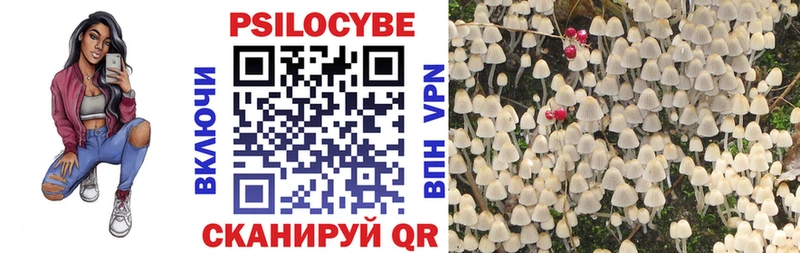 Псилоцибиновые грибы Magic Shrooms  МЕГА ССЫЛКА  нарко площадка как зайти  закладки  Малая Вишера 